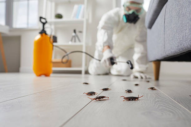 Commercial Kitchen Cockroach Control in Eielson AFB