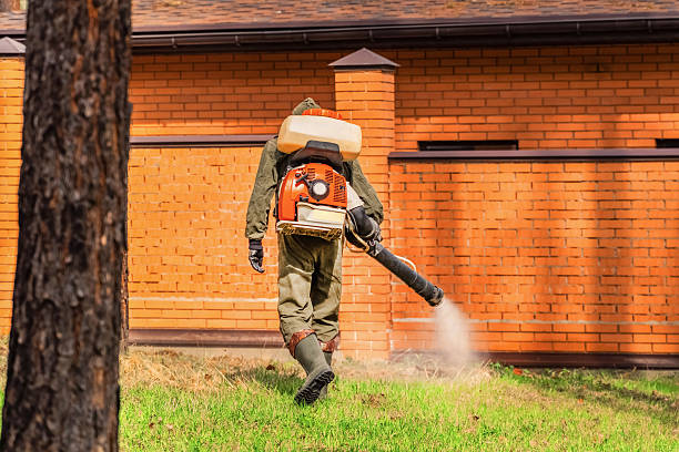Cockroach Follow-Up and Monitoring in Eielson AFB